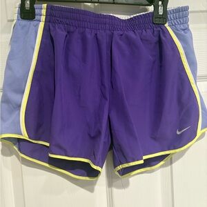 Nike Purple and Light Blue Women's Shorts